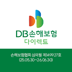 DB손보